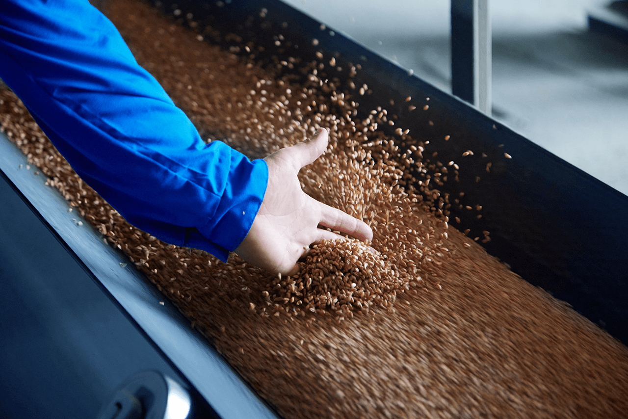 Производство кормов